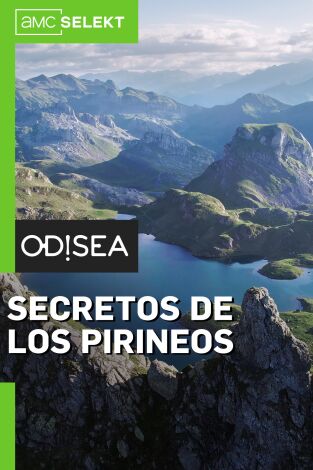 Secretos de los Pirineos. Secretos de los Pirineos: El quebrantahuesos