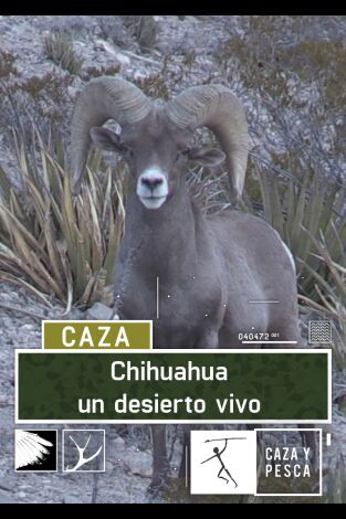 Chihuahua, un desierto vivo