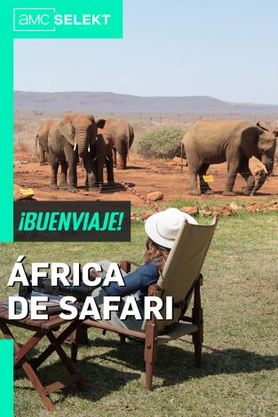 África de safari. África de safari: Un recibimiento digno de un rey