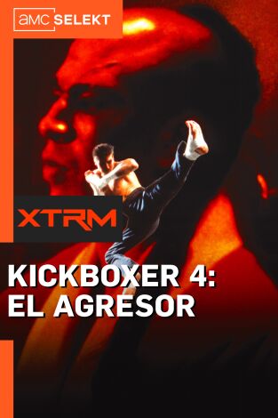 Kickboxer 4: El agresor