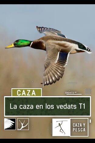 La caza en los Vedats. T(T1). La caza en los... (T1): Vedat de Cullera