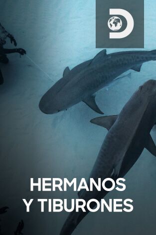 Hermanos y tiburones