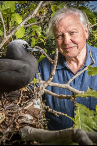La gran aventura de David Attenborough. La gran aventura de...: Ep.2