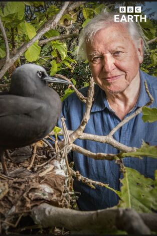 La gran aventura de David Attenborough. La gran aventura de...: Ep.2