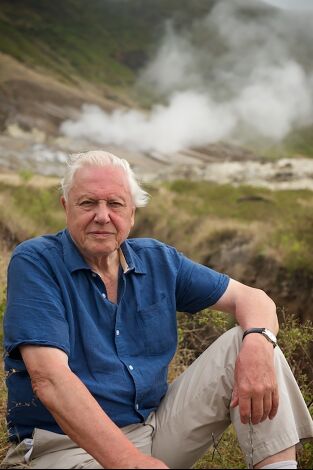 La gran aventura de David Attenborough. La gran aventura de...: Ep.3