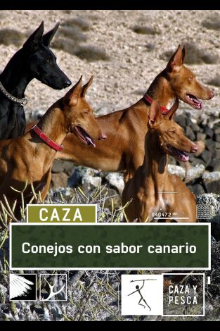 Conejos con sabor canario