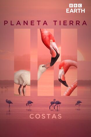 Planeta Tierra III. Planeta Tierra III: Costas