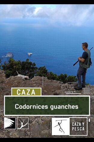 Codornices guanches