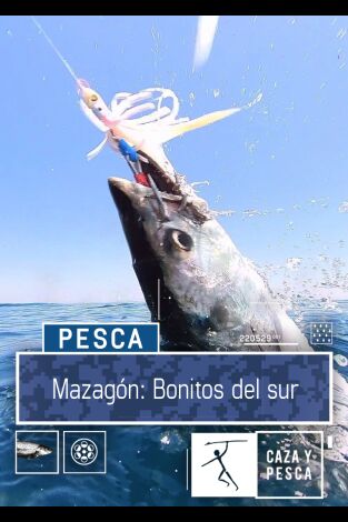 Mazagón: bonitos del Sur