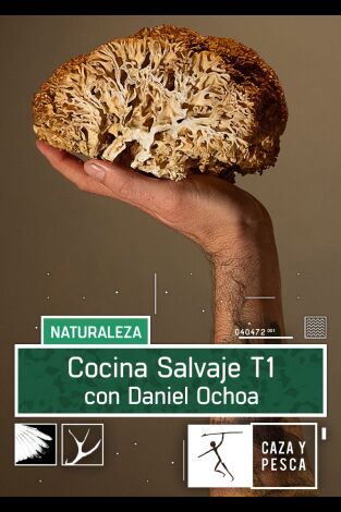 Cocina salvaje con Daniel Ochoa. T(T1). Cocina salvaje... (T1): Postres y bebida