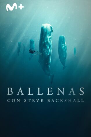 Ballenas con Steve Backshall. Ballenas con Steve Backshall 