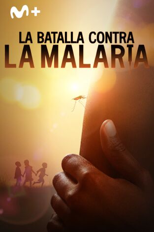 La batalla contra la malaria