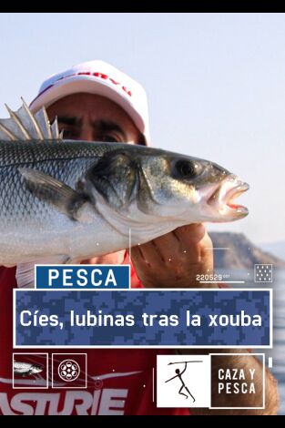 Cies, lubinas tras la xouba