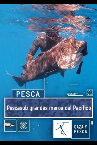 Pescasub, grandes meros del Pacífico