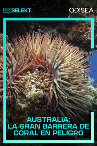 Australia: La Gran Barrera de Coral en peligro. Australia: La Gran Barrera de Coral en peligro 