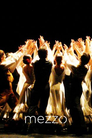 Suite Flamenca - Antonio Gades Company - Teatro Real