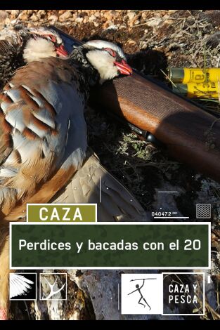 Perdices y becadas con el 20