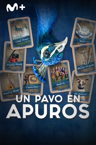 Un pavo en apuros