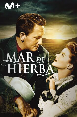 Mar de hierba