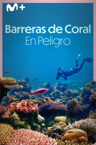 Barreras de coral en peligro