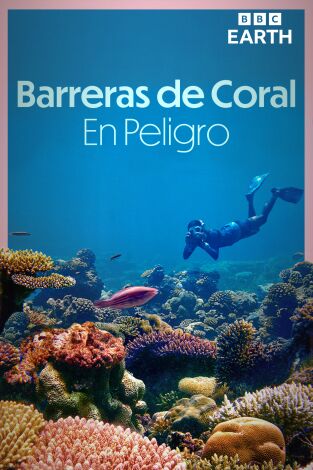 Barreras de coral en peligro