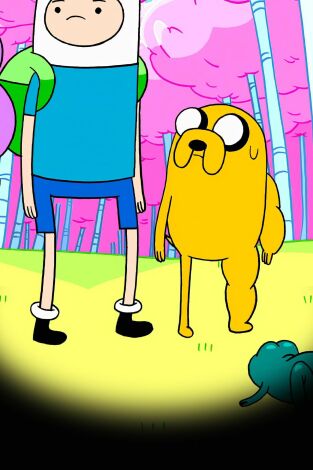 Hora De Aventuras. T(T1). Hora De Aventuras (T1): Pánico en la fiesta de pijamas