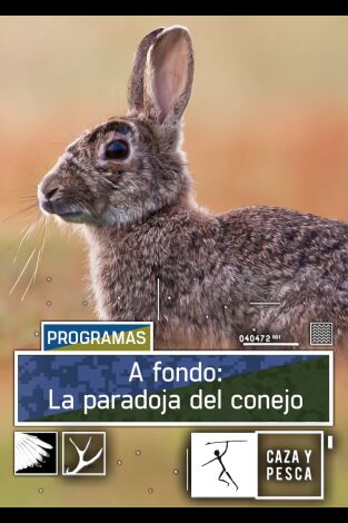 A fondo. A fondo: La paradoja del conejo