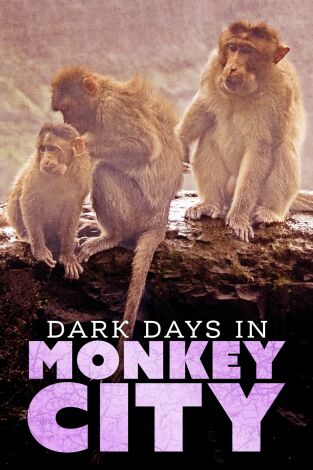 Monkey City, Season 1. Monkey City, Season 1: Los dioses de la guerra