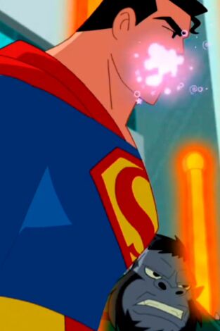 Justice League Action, Season 1. Justice League Action,...: La confusión de mxy