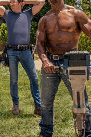 Los gemelos reforman dos veces: Edición Celebrity. T(T5). Los gemelos... (T5): La renovación del exterior de Terry Crews