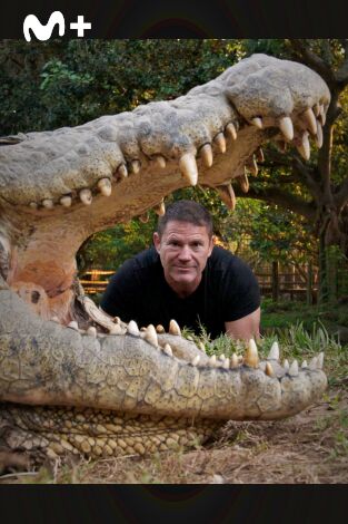 Hipopótamos y cocodrilos con Steve Backshall. Hipopótamos y...: Cocodrilos con Steve Backshall II