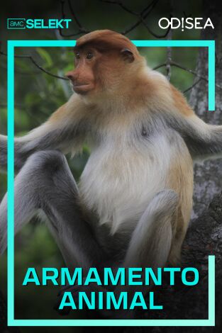 Armamento animal