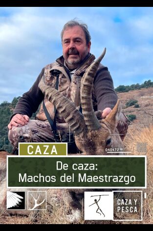 De caza: machos del Maestrazgo