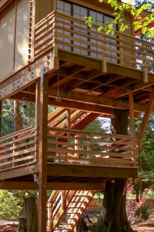 Mi casa en un árbol. Mi casa en un árbol: Salón de té japonés en los árboles