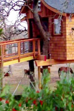 Mi casa en un árbol. Mi casa en un árbol: Balneario en las alturas