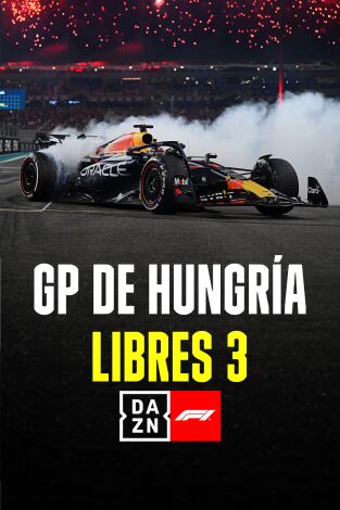 GP de Hungría. GP de Hungría: Previo Libres 3