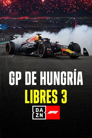 GP de Hungría. GP de Hungría: Libres 3