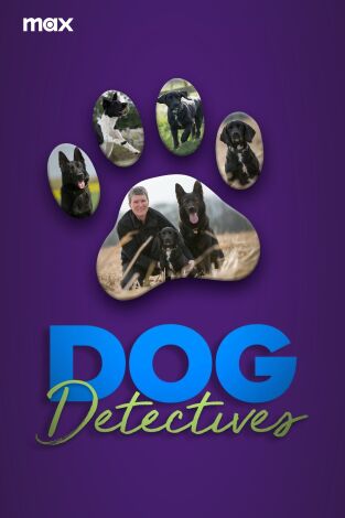 Perros detectives