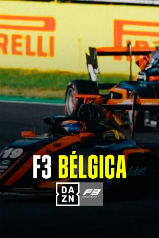 F3 Bélgica. F3 Bélgica: Sprint Race