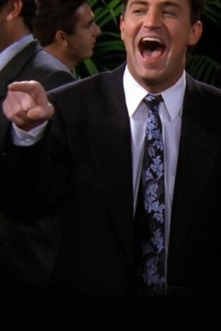 Friends, Season 5. T(T5). Friends, Season 5 (T5): Ep.12 El de la risa de trabajo de Chandler