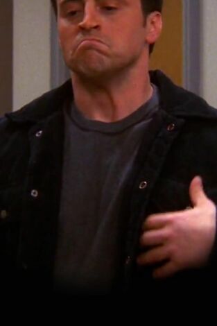 Friends, Season 8. T(T8). Friends, Season 8 (T8): Ep.16 El de cuando Joey se lo dice a Rachel