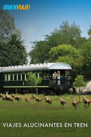 Viajes alucinantes en tren. Viajes alucinantes en tren 