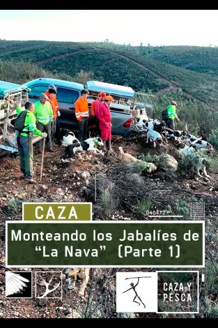 Monteando los jabalies de La Nava. 1º Parte