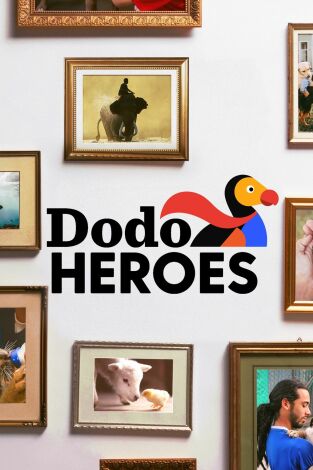 Dodo Heroes