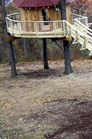 Mi casa en un árbol. Mi casa en un árbol: Bungaló del oso pardo