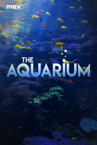 The Aquarium