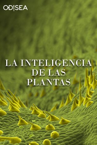 La inteligencia de las plantas