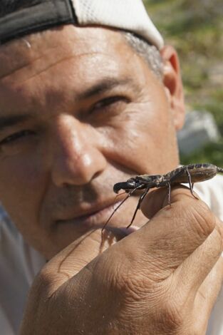 Wild Frank en California. Wild Frank en California: Ep.1