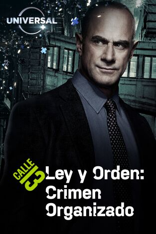 Ley y Orden: Crimen organizado. T(T4). Ley y Orden:... (T4): Ep.9 