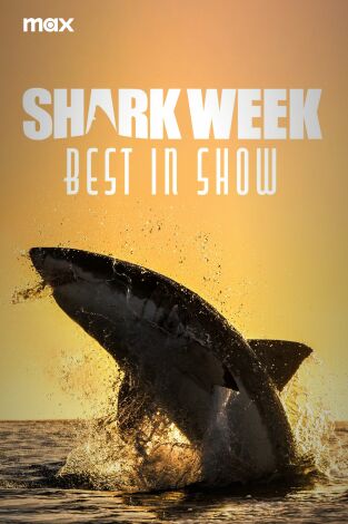 Shark week: lo mejor del año